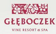 Vine Resort & Spa - Brzozie