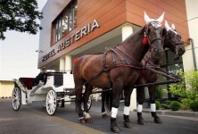 Hotel Austeria Conference&Spa *** - zdjęcie obiektu