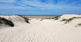 Romantyczne wesele nad morzem – magia Bałtyku i urok Gdańska