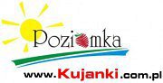 Pensjonat Poziomka - Złotów