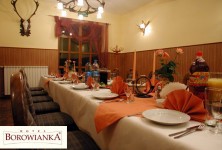 Hotel Restauracja Borowianka - zdjęcie obiektu