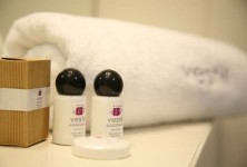 Vestil Business & Conference Hotel - zdjęcie obiektu