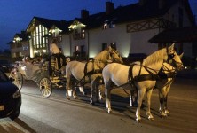 Hotel Borowinowy Zdrój Wellness SPA & Conference - zdjęcie obiektu