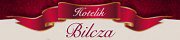 Hotelik Bilcza - Morawica