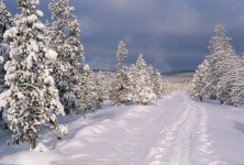 RANCHO COLORADO - zdjęcie obiektu