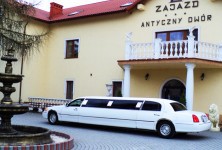 Hotel Antyczny Dwór - zdjęcie obiektu