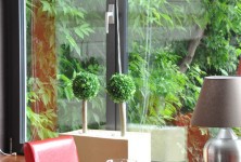 Animar Restauracja Catering - zdjęcie obiektu