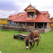 Sala weselna Hacjenda Dolina Żab-Stodoła Weselna, Strzelin