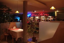 Restauracja & Motel Delfin - zdjęcie obiektu