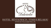 Hotel Dąbrówka * * * - Jastrzębie-Zdrój