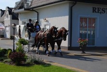 Hotel restauracja Campari - zdjęcie obiektu