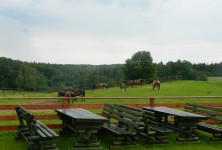 Zajazd na Wzgórzu - zdjęcie obiektu