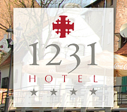 Hotel 1231**** - Toruń