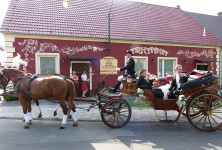 Arkadia Gościniec - zdjęcie obiektu