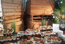 Mazurkas Catering 360° - zdjęcie obiektu