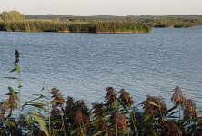 Dom weselny nad wodą - zdjęcie obiektu