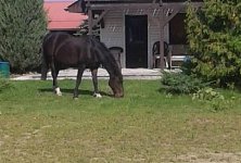 Rancho Lędzin - zdjęcie obiektu