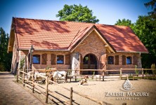 ZALESIE MAZURY ACTIVE SPA - zdjęcie obiektu