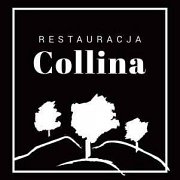 Restauracja Collina - Zbrosławice