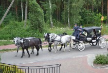 Hotel Kruk *** - zdjęcie obiektu