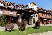 Hotel Żubrówka **** Białowieża - zdjęcie obiektu